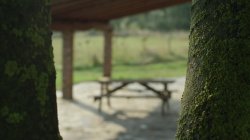 Captura de 'Anal Nubiles Vol. 6' nº 5
