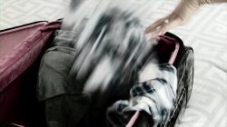 'Indiscretions' screenshot nº 26