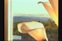 'Photoplay' screenshot nº 114