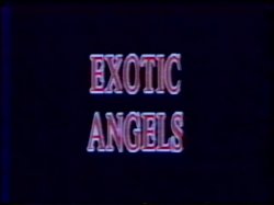 'Exotic Angels' screenshot nº 1