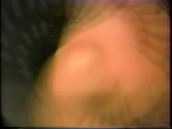 'Exotic Angels' screenshot nº 11
