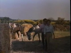 'A Private Love Affair' screenshot nº 72
