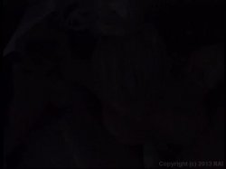 'Just Facials 2' screenshot nº 4
