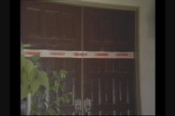 Captura de 'Return of Johnny Wadd, The' nº 46