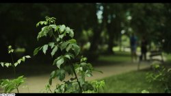 'Heartache' screenshot nº 5