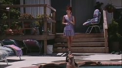 Captura de 'Sex Fest 1 Budd Lee's Best' nº 91