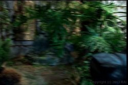 'Squirting Illustrated 6' screenshot nº 33