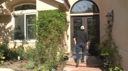 Captura de 'My Wife Caught Me Assfucking Her Mother 9' nº 40