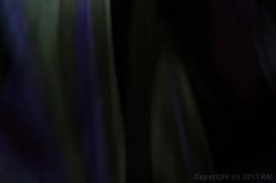 'Deep Creampies #3' screenshot nº 37