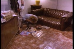 'Wild Goose Chase' screenshot nº 34