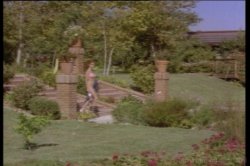 'Wild Goose Chase' screenshot nº 35