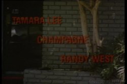 'Wild Goose Chase' screenshot nº 1