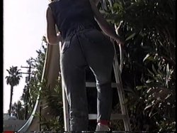Captura de 'Juicy Jeans' nº 46