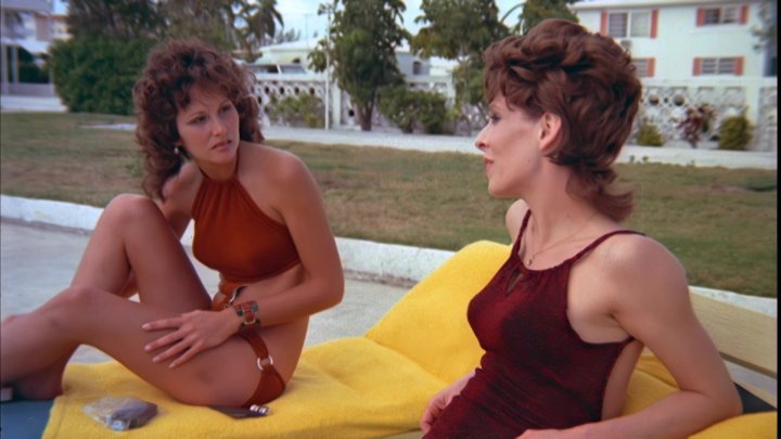 Linda And Her Slutty MILF Roommate Get Fucked By A Group Of Guys Image