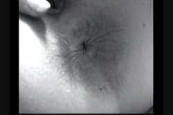 'Gonzoman 2' screenshot nº 14