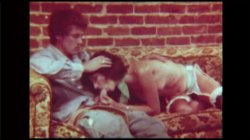'Swedish Erotica 233 - Fringe Benefits' screenshot nº 23