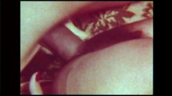 'Swedish Erotica 233 - Fringe Benefits' screenshot nº 28