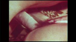 'Swedish Erotica 233 - Fringe Benefits' screenshot nº 30