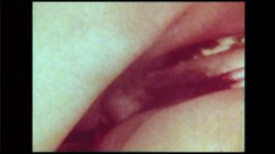 'Swedish Erotica 233 - Fringe Benefits' screenshot nº 31