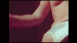 'Swedish Erotica 233 - Fringe Benefits' screenshot nº 6