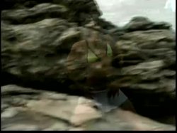 Captura de 'Total Versaute Strand Luder' nº 70