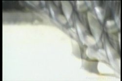 Captura de 'Jo's Secret Video' nº 56