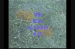 Captura de 'Real Naturals 25, The' nº 3