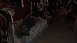 'Axel Braun's Farmer Girls' screenshot nº 81