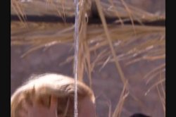 Captura de 'Desert Camp Sex Exchange' nº 36