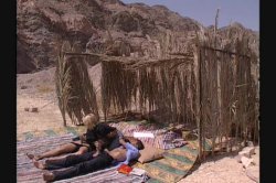 Captura de 'Desert Camp Sex Exchange' nº 69