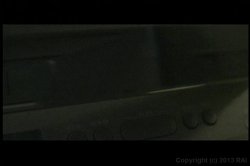 'Secret Video Diaries of a Lesbian Nympho' screenshot nº 2