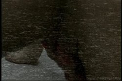'Secret Video Diaries of a Lesbian Nympho' screenshot nº 75