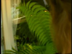 Captura de 'Naughty College School Girls 20' nº 44