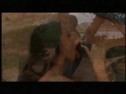 Captura de 'Spanish Sex Wild In Ibiza' nº 33