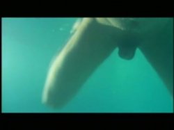 Captura de 'Spanish Sex Wild In Ibiza' nº 117