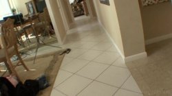 Captura de 'Fuckin' Around In Fort Lauderdale' nº 90