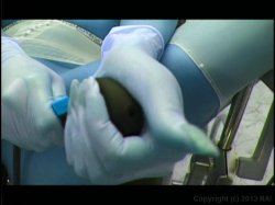 'Tanya Hyde's Rubberfuckers Rule' screenshot nº 88