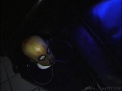 'Tanya Hyde's Rubberfuckers Rule' screenshot nº 136
