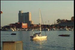 'Live Bait 3' screenshot nº 3