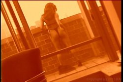 'Live Bait 3' screenshot nº 35