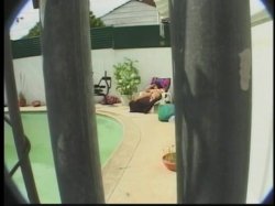'Chunky Chicks 2' screenshot nº 22