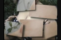 Captura de 'Real Big Tits 3' nº 1