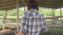 Captura de 'Anal Farm Girls' nº 69