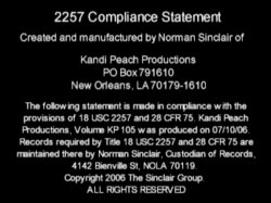 'Volume KP 105 - Southern Swingers Number Five' screenshot nº 2