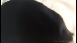Captura de 'Cum Hunters Vol. 9' nº 9