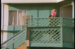 Captura de 'Debbie Does Iowa' nº 26