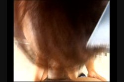 'Blow'em All! 5' screenshot nº 36