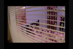 Captura de 'Bang Bang Chinatown' nº 50