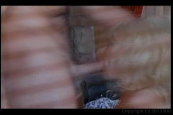 Captura de 'Hardly Hartley' nº 127