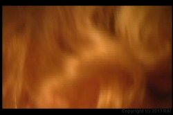 Captura de 'Hardly Hartley' nº 55